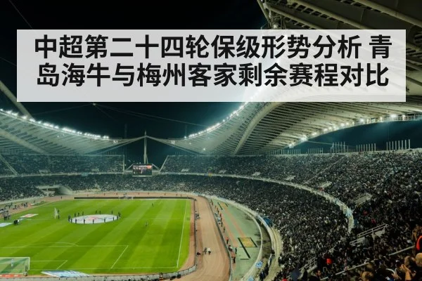 中超第二十四轮保级形势分析 青岛海牛与梅州客家剩余赛程对比（jiuyou）